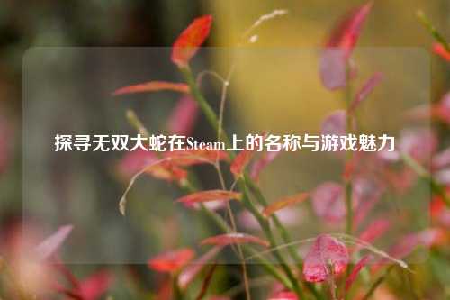 探寻无双大蛇在Steam上的名称与游戏魅力