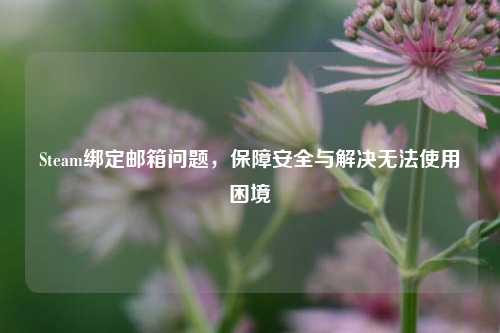 Steam绑定邮箱问题，保障安全与解决无法使用困境