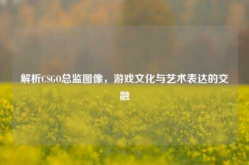 解析CSGO总监图像，游戏文化与艺术表达的交融