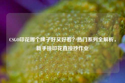 CSGO印花哪个牌子好又好看？热门系列全解析，新手挑印花直接抄作业