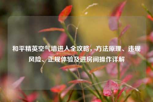 和平精英空气墙进入全攻略,方法原理、违规风险、正规体验及进房间操作详解