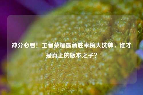 冲分必看！王者荣耀最新胜率榜大洗牌，谁才是真正的版本之子？