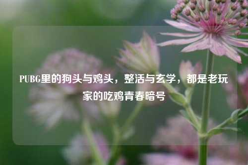 PUBG里的狗头与鸡头，整活与玄学，都是老玩家的吃鸡青春暗号