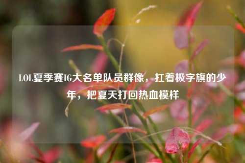 LOL夏季赛IG大名单队员群像,扛着极字旗的少年,把夏天打回热血模样