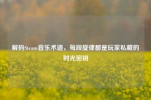解码Steam音乐术语,每段旋律都是玩家私藏的时光密钥