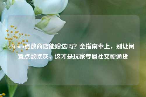 Steam点数商店能赠送吗？全指南奉上，别让闲置点数吃灰，这才是玩家专属社交硬通货