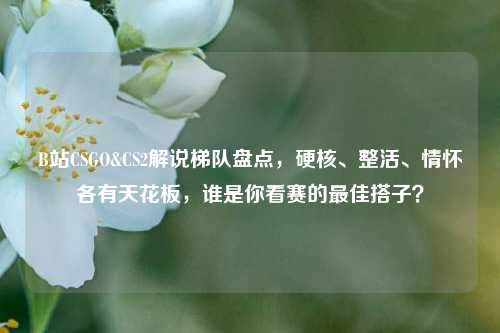 B站CSGO&CS2解说梯队盘点，硬核、整活、情怀各有天花板，谁是你看赛的最佳搭子？