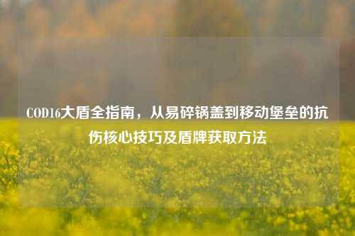 COD16大盾全指南,从易碎锅盖到移动堡垒的抗伤核心技巧及盾牌获取方法