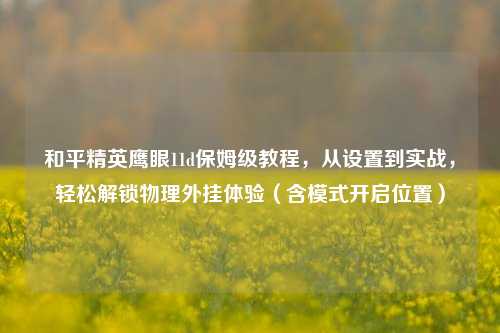 和平精英鹰眼11d保姆级教程,从设置到实战,轻松解锁物理外挂体验(含模式开启位置)