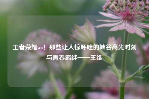 王者荣耀wa!那些让人惊呼哇的峡谷高光时刻与青春羁绊——王维