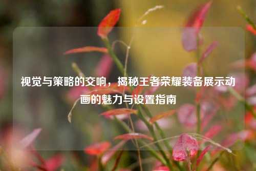 视觉与策略的交响，揭秘王者荣耀装备展示动画的魅力与设置指南