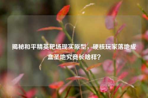 揭秘和平精英靶场现实原型，硬核玩家落地成盒圣地究竟长啥样？