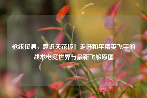 枪线拉满，意识天花板！走进和平精英飞宇的战术电竞世界与最新飞船原图