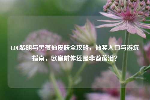 LOL黎明与黑夜抽皮肤全攻略，抽奖入口与避坑指南，欧皇附体还是非酋落泪？
