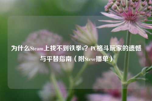 为什么Steam上找不到铁拳6？PC格斗玩家的遗憾与平替指南（附Steve播单）