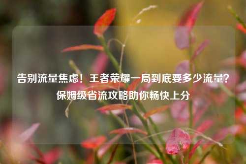 告别流量焦虑！王者荣耀一局到底要多少流量？保姆级省流攻略助你畅快上分