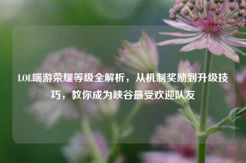 LOL端游荣耀等级全解析,从机制奖励到升级技巧,教你成为峡谷最受欢迎队友